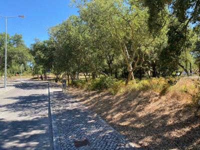 Lote para venda em Sesimbra (Azenha da ordem) - Santander Portugal